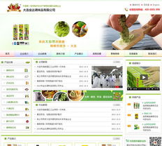 大連網站建設與設計服務全解析 新圖聞科技如何助力企業數字化轉型